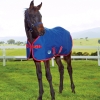 Weatherbeeta Foal Standard Neck Turnout 1200 Denier (RRP £52.99)